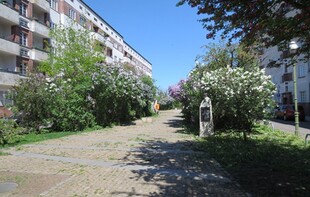 2012_Fordoner-Platz-1-590x375_94919.jpg