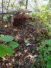 Gebuesch_Herbst_Putztag_2021_17692.jpg