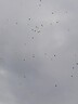 IMG_20211003_170906_17674.jpg