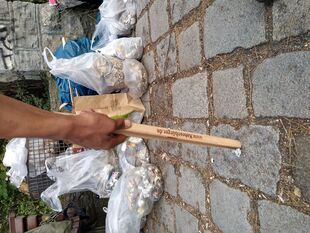 Nature_Clean_Up_Jam_IMG_20200919_184713_17458.jpg